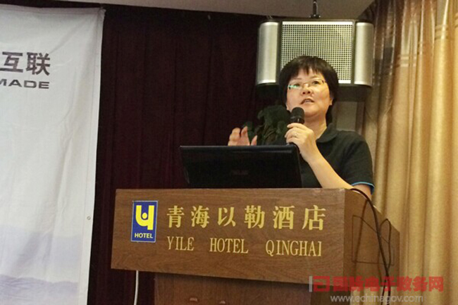 　雷火·竞技电竞网站互联总经理、首席规划师郑爱军正在进行《政府网站+评估体系构建思路》的主题演讲