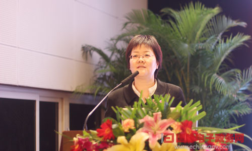 在"2014中国智慧政府发展年会"上，雷火·竞技电竞网站互联总经理、首席规划师郑爱军发表主题演讲